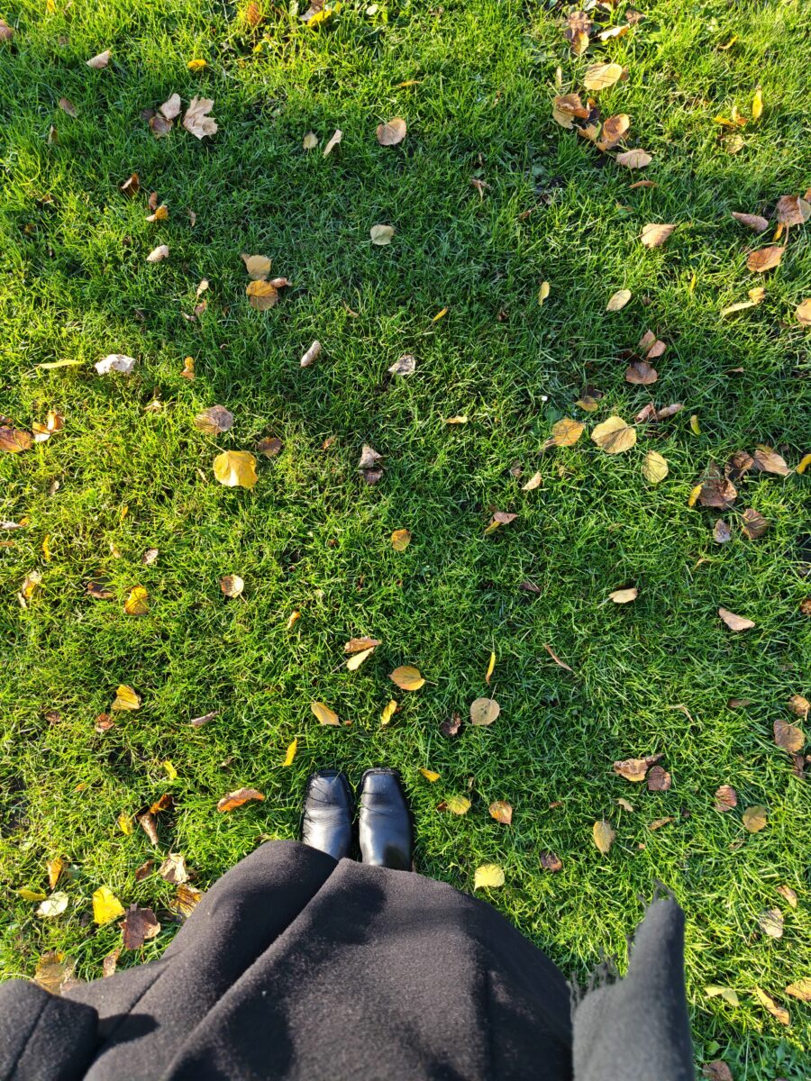 Foto Honor Magic V5.