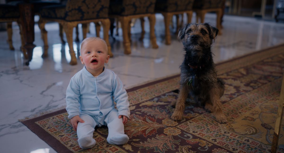 Mimino na mušce (Man vs Baby)