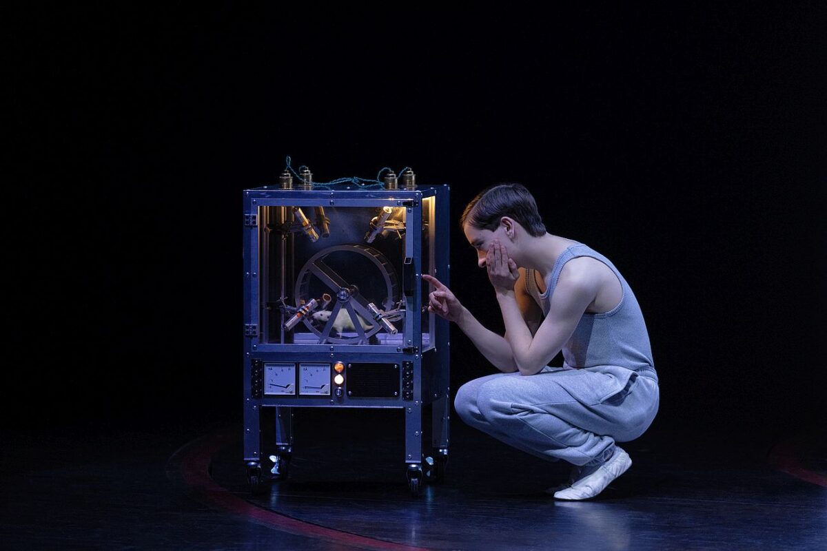 STRANGER THINGS: THE FIRST SHADOW - BROADWAY. Louis McCartney as Henry Creel