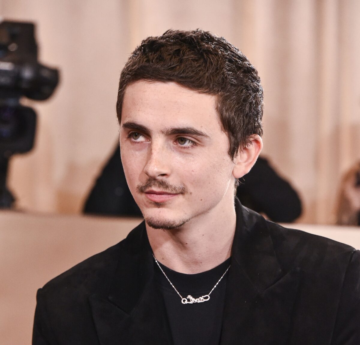 Timothée Chalamet na Golden Globes 2026.