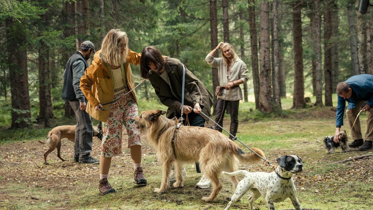 Nakrmit, pomodlit, zaštěkat