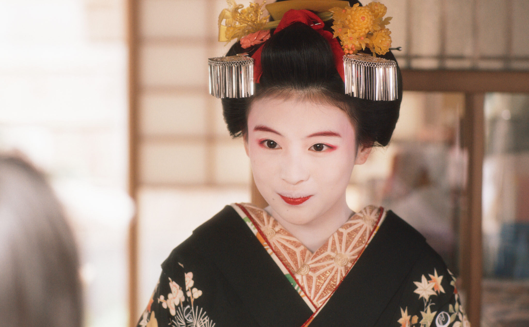 Dvě kamarádky touží po dráze gejši, jedna z nich však skončí u plotny. Nový japonský seriál vám ukáže všechny krásy Kjóta