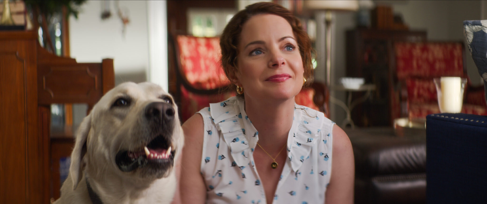 Dojemný film podle skutečné události: Rob Lowe hledá ztraceného psa, který bez léků nemá šanci přežít