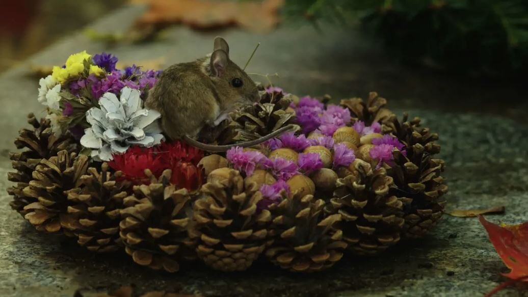 Myš na věnci z šišek a květů v dokumentu Planeta Praha