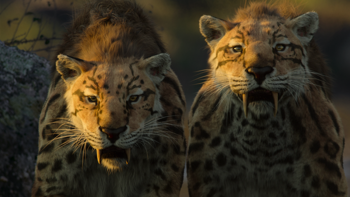 Dva šavlozubí tygři v dokumentu Život na naší planetě