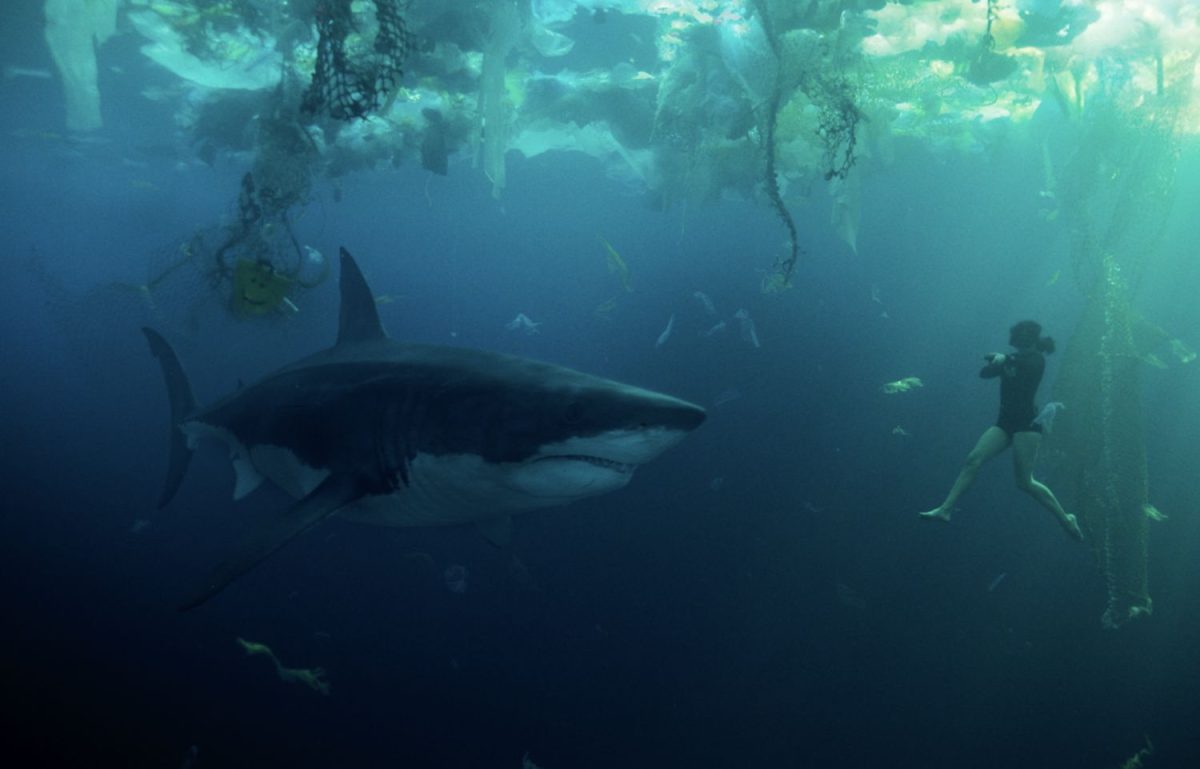 Žraloci v Paříži