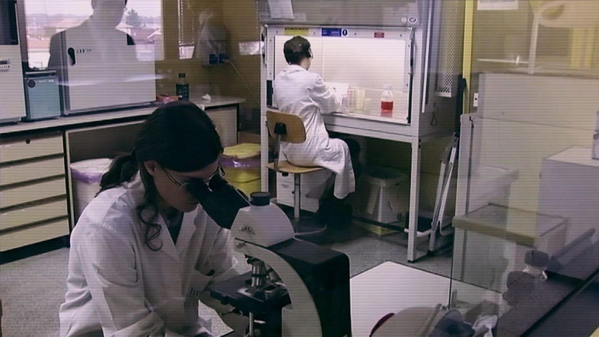 Nade vší pochybnost: Případ Yary Gambirasio