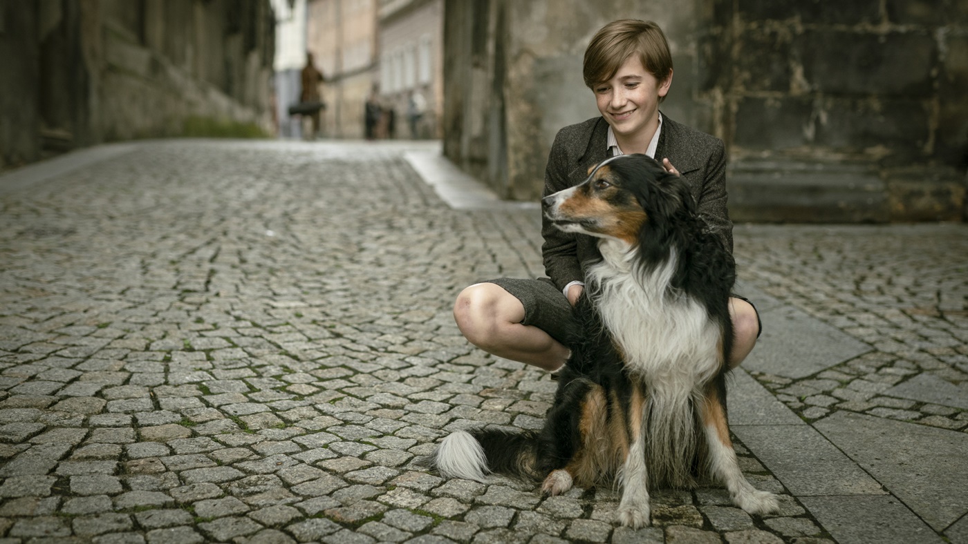Harry Potter po česku? Do kin míří Čaroděj Kajtek. Místo Voldemorta bude bojovat proti démonickému Hofmannovi