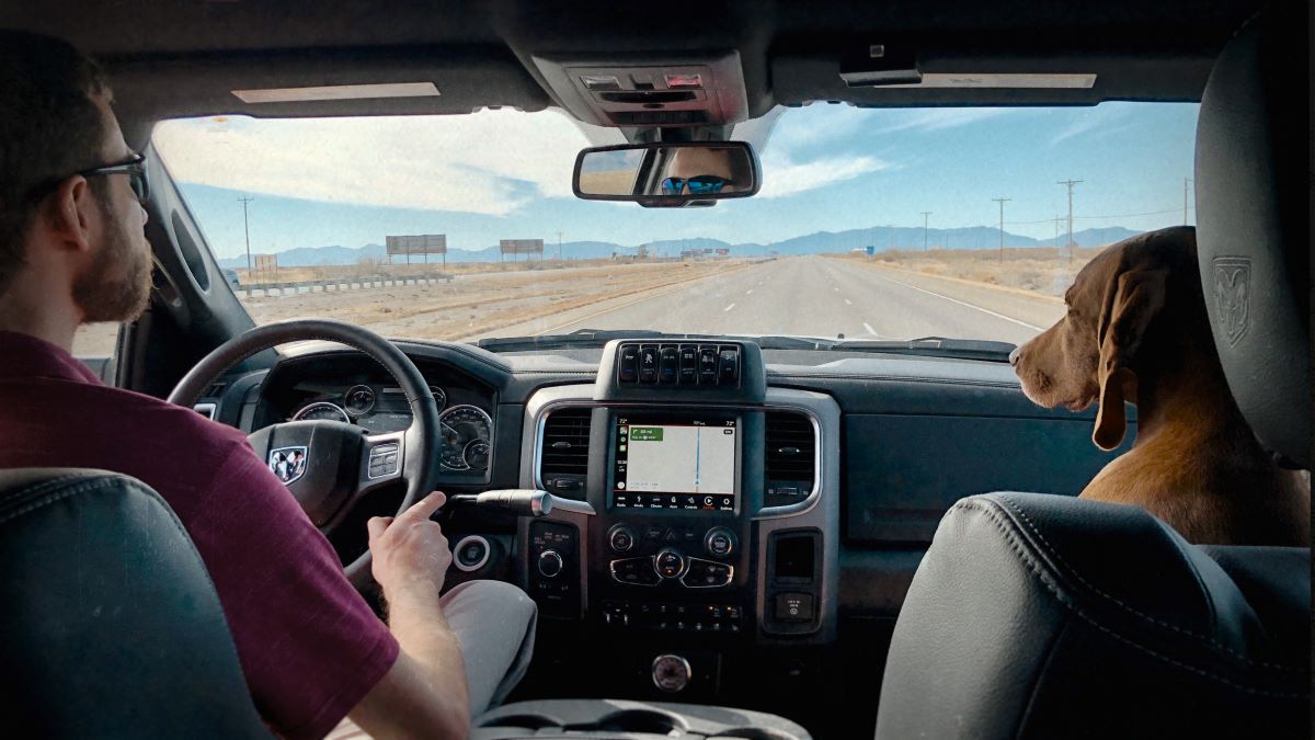 Zlato a zištnost: Hon za pokladem Forresta Fenna (Gold & Greed: The Hunt for Fenn's Treasure)