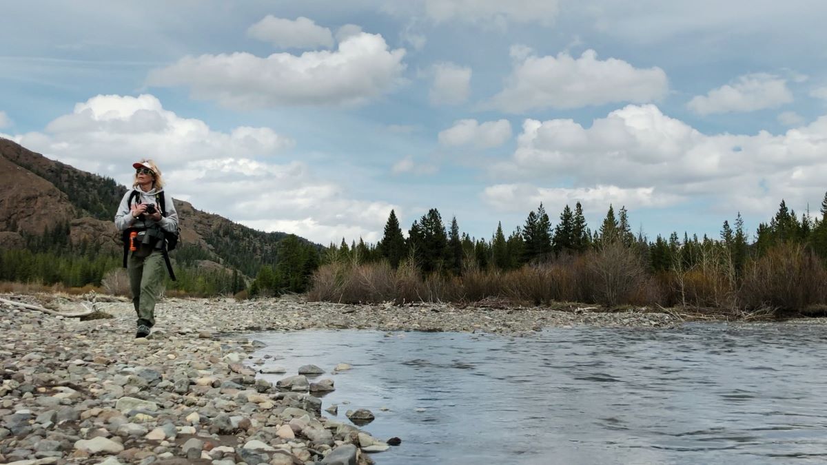 Zlato a zištnost: Hon za pokladem Forresta Fenna (Gold & Greed: The Hunt for Fenn's Treasure)