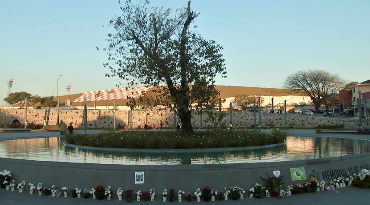 Let 3054: Tragédie podle předpovědi (A Tragedy Foretold: Flight 3054)