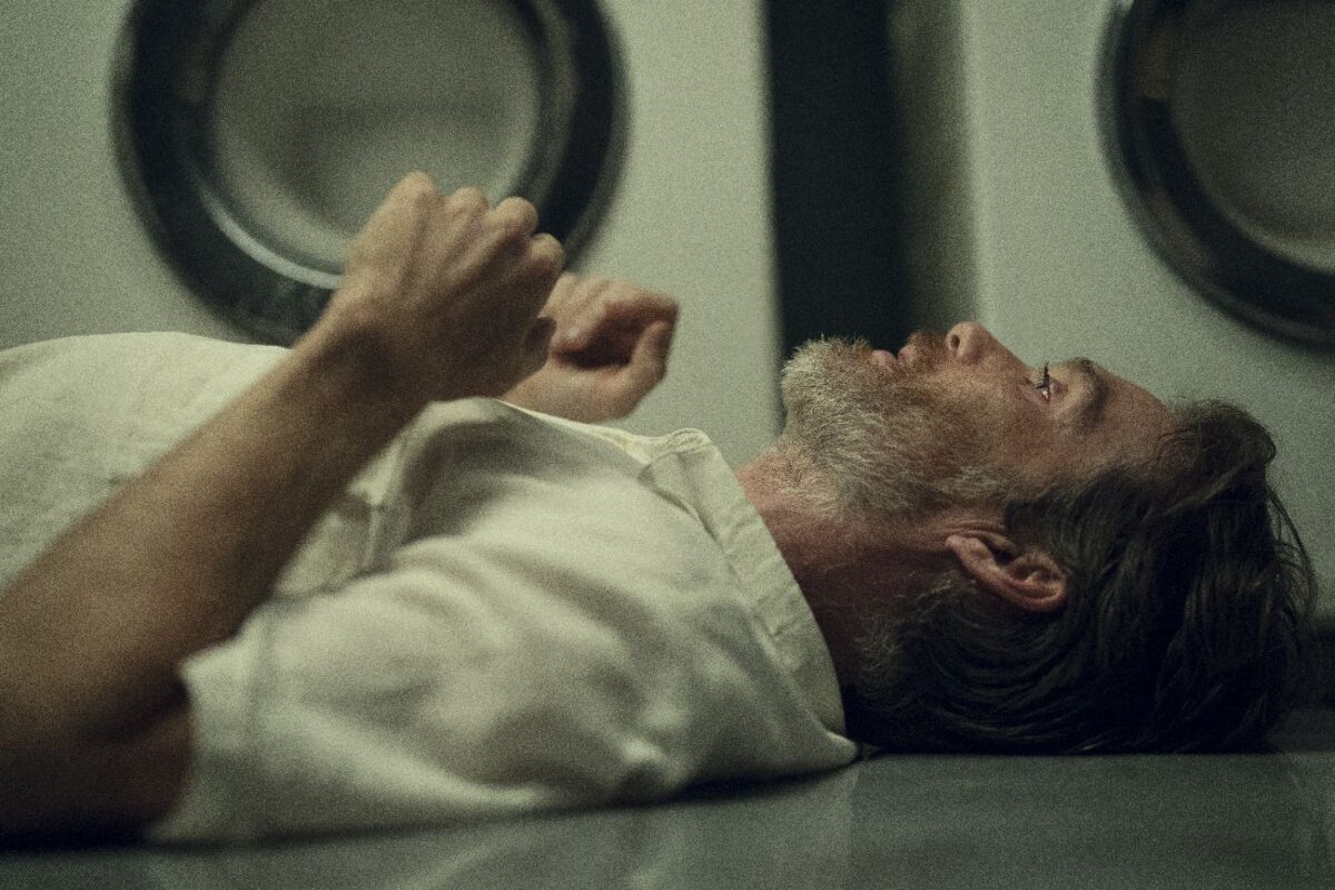 Cillian Murphy as Steve