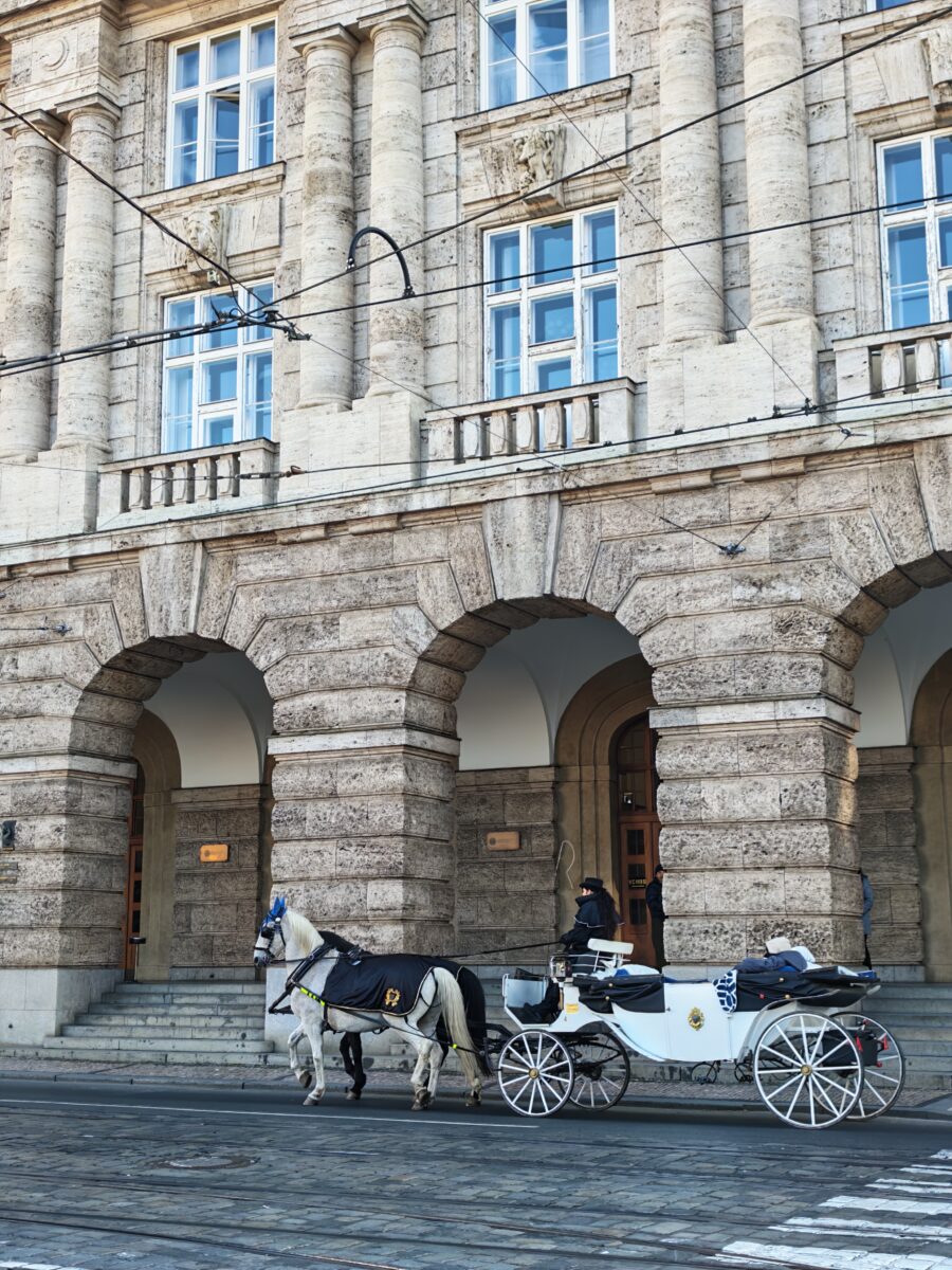 Foto Honor Magic V5.