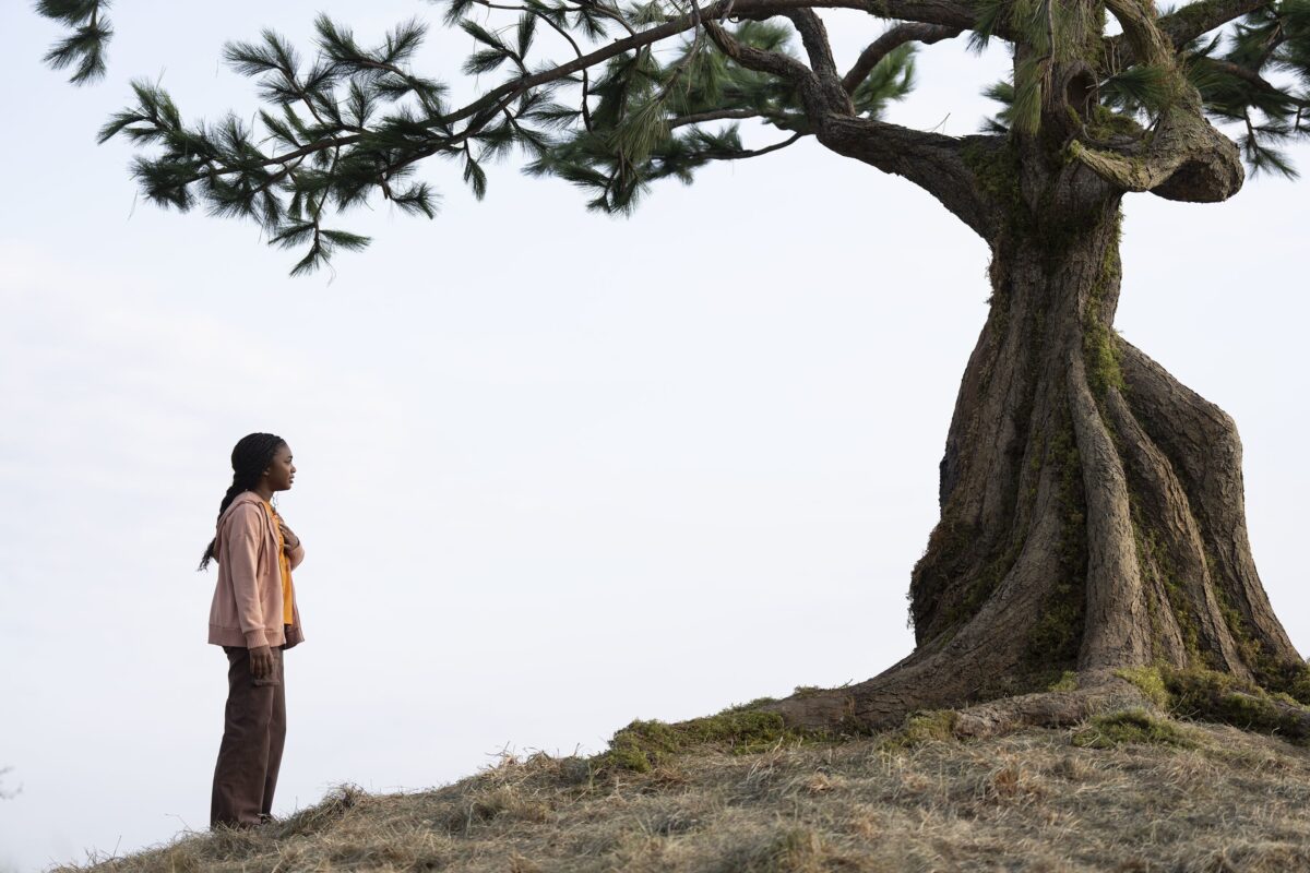 Percy Jackson a Olympané