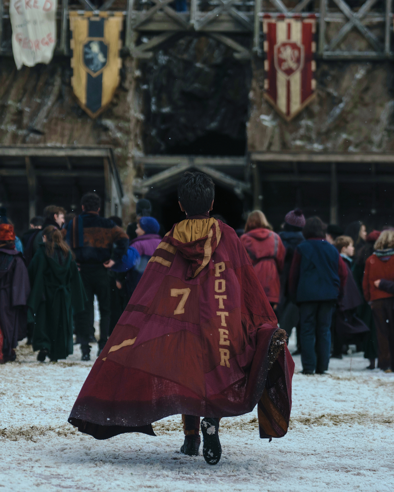 Seriál Harry Potter a Kámen mudrců