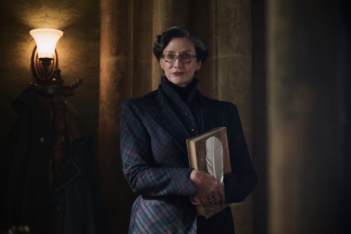 Seriál Harry Potter a Kámen mudrců