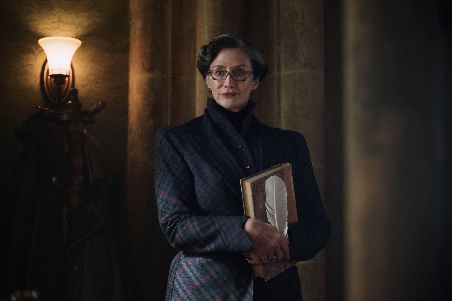 Seriál Harry Potter a Kámen mudrců