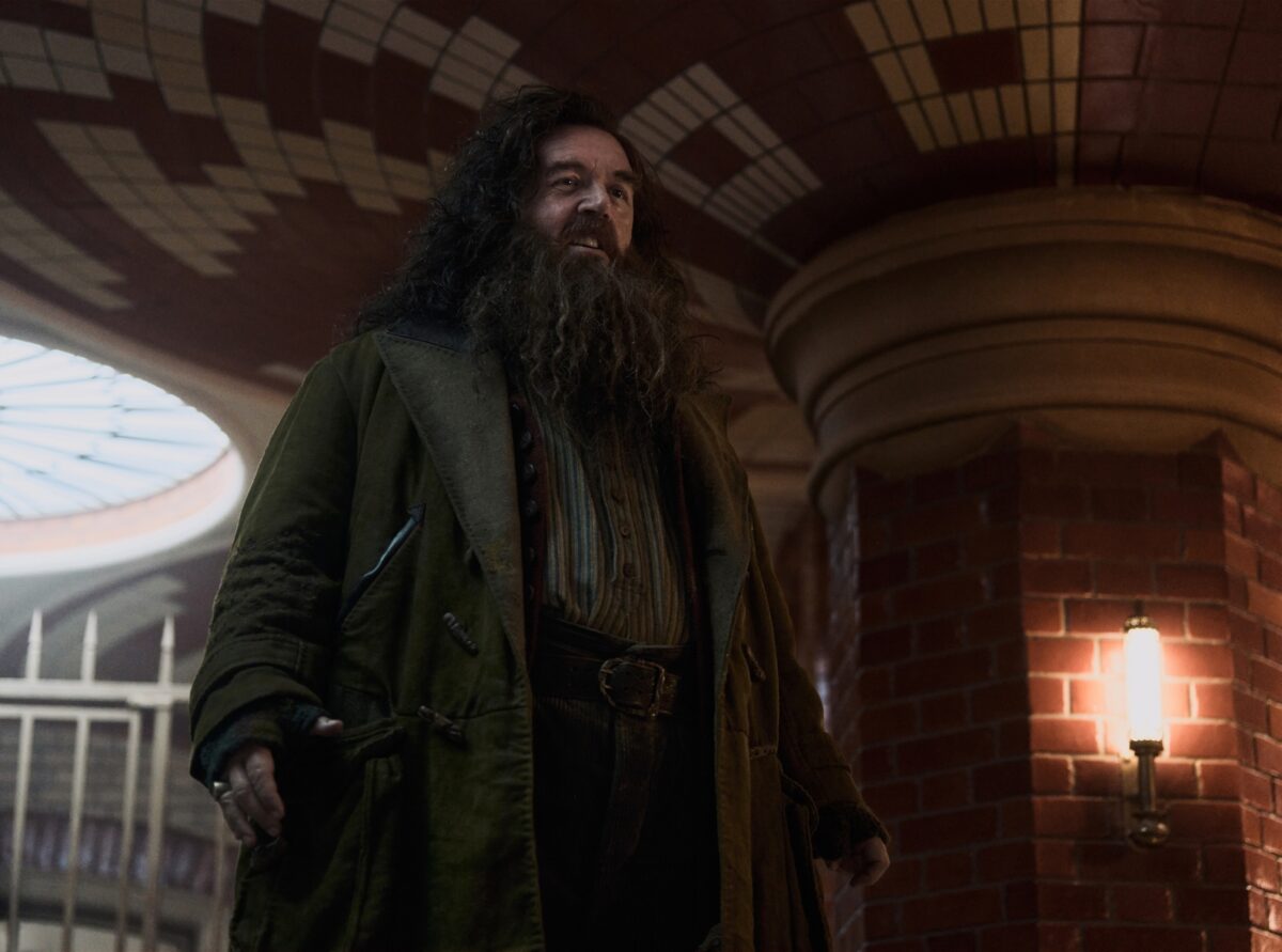 Seriál Harry Potter a Kámen mudrců